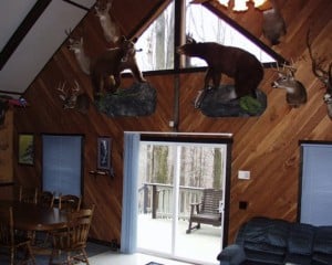 Enjoy your time in our outdoor themed accomidations.