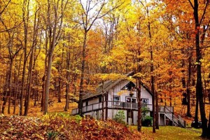 Lodging Available on-site in one of our cabines