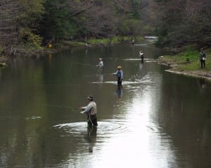 Opening Day Of Trout SW PA