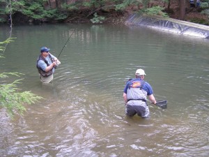 Trophy Trout Action on the Yellow Creek.