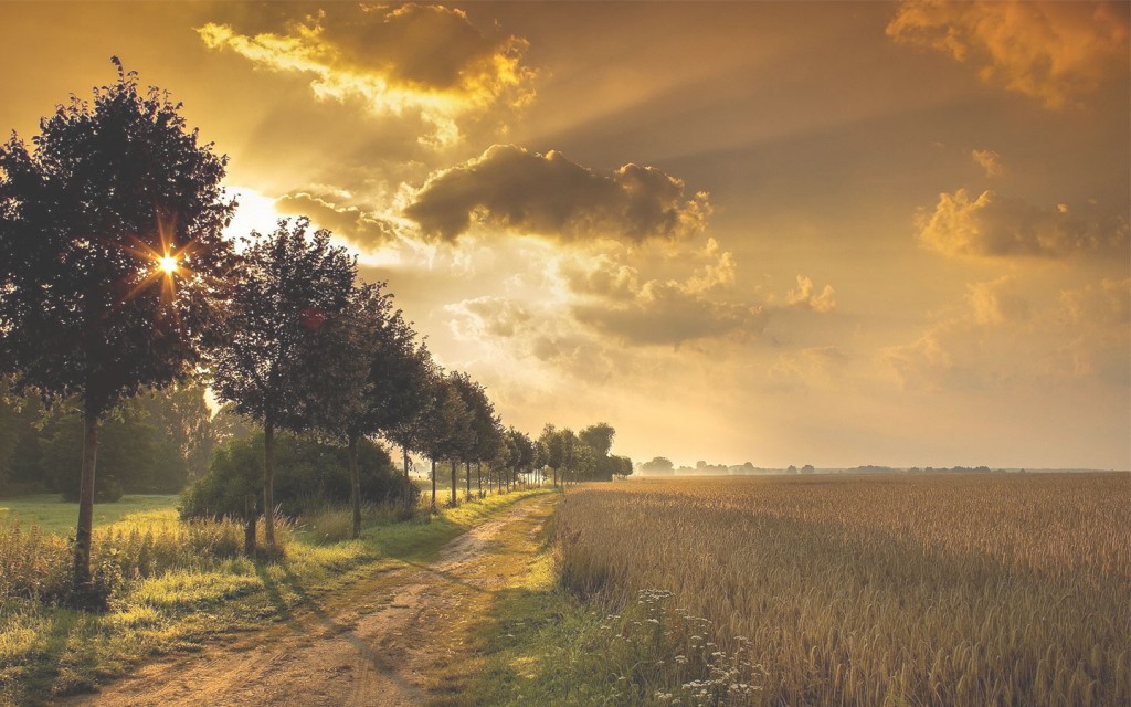 Upland Hunting Wood Crest Point